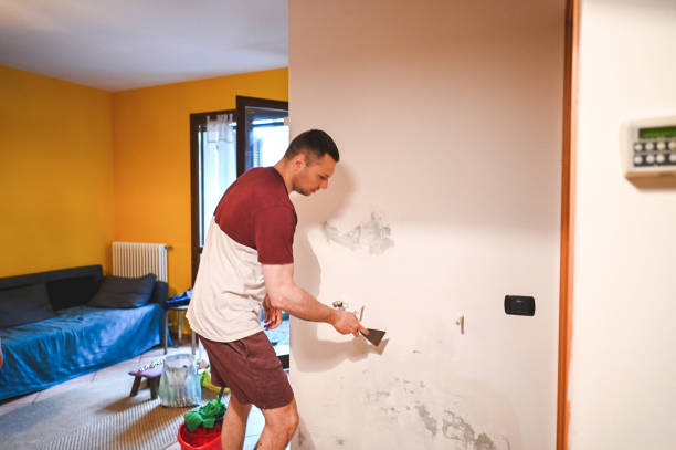 Best Home Mold Removal  in Maple Valley, WA